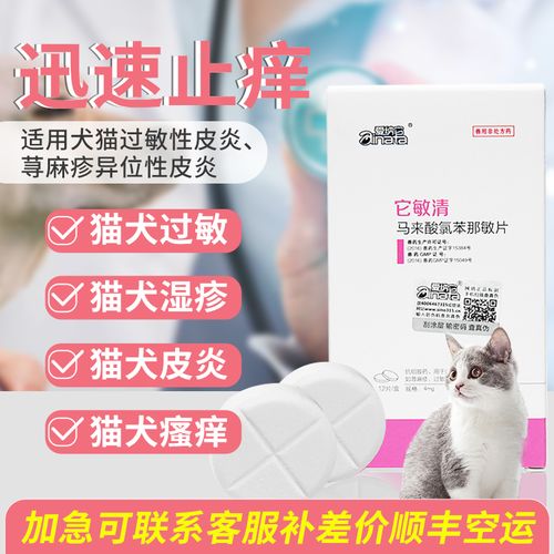 猫咪皮炎怎么治疗,猫咪皮炎症状及治疗方法-第2张图片-后鲨宠物 猫咪皮炎怎么治疗,猫咪皮炎症状及治疗方法-第2张图片-后鲨宠物