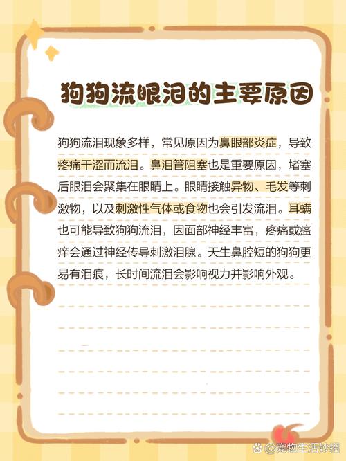 狗狗流眼泪用什么药,狗狗流眼泪用啥眼药水?-第1张图片-后鲨宠物 狗狗流眼泪用什么药,狗狗流眼泪用啥眼药水?-第1张图片-后鲨宠物