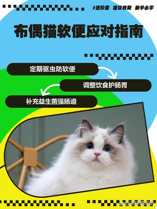 猫咪吃罐头软便,猫咪吃罐头有点软便?-第4张图片-后鲨宠物 猫咪吃罐头软便,猫咪吃罐头有点软便?-第4张图片-后鲨宠物
