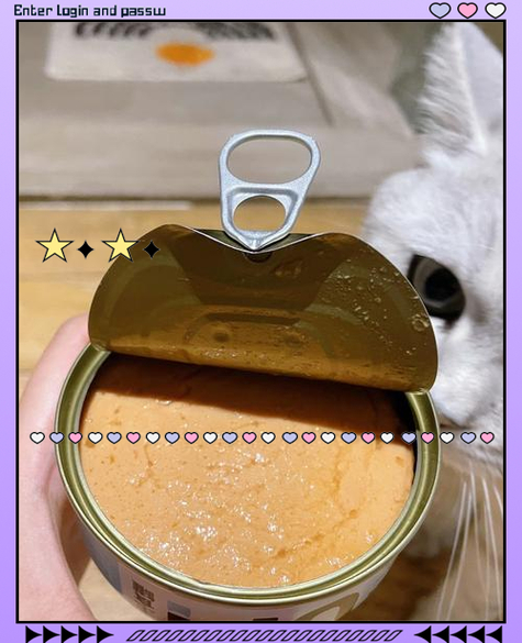 猫咪吃罐头软便,猫咪吃罐头有点软便?-第5张图片-后鲨宠物 猫咪吃罐头软便,猫咪吃罐头有点软便?-第5张图片-后鲨宠物