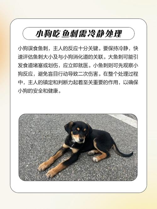 狗狗吃了鱼刺后的症状,狗吃了鱼刺该怎么办-第2张图片-后鲨宠物 狗狗吃了鱼刺后的症状,狗吃了鱼刺该怎么办-第2张图片-后鲨宠物