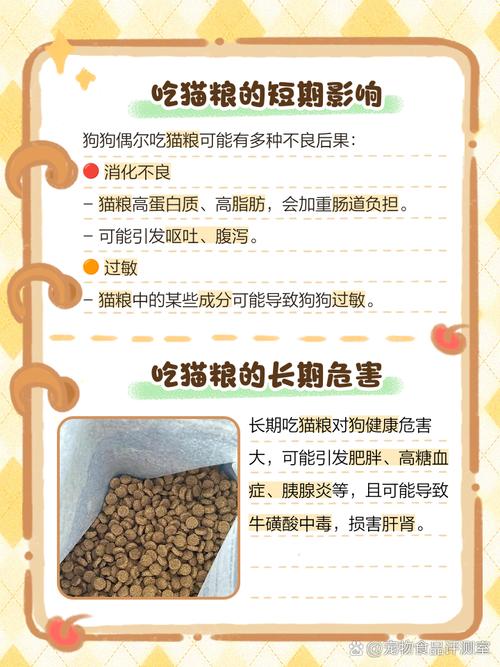 狗狗吃了猫粮会怎么样_狗狗吃了猫粮会怎么样图片-第3张图片-后鲨宠物 狗狗吃了猫粮会怎么样_狗狗吃了猫粮会怎么样图片-第3张图片-后鲨宠物