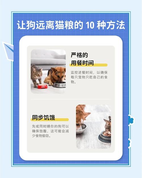 狗狗吃了猫粮会怎么样_狗狗吃了猫粮会怎么样图片-第5张图片-后鲨宠物 狗狗吃了猫粮会怎么样_狗狗吃了猫粮会怎么样图片-第5张图片-后鲨宠物