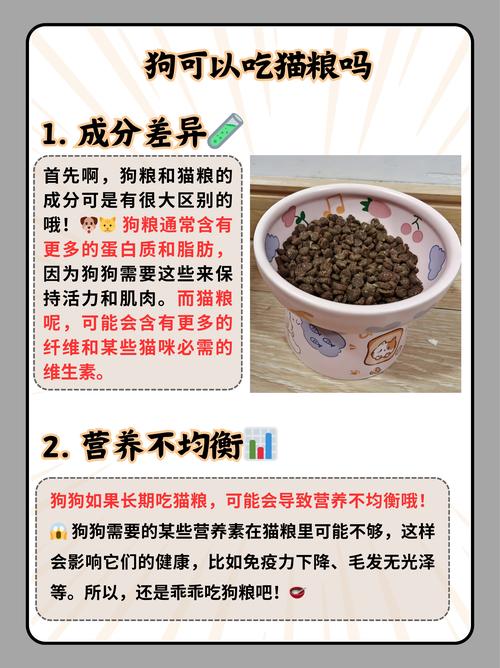 狗狗吃了猫粮会怎么样_狗狗吃了猫粮会怎么样图片-第6张图片-后鲨宠物 狗狗吃了猫粮会怎么样_狗狗吃了猫粮会怎么样图片-第6张图片-后鲨宠物