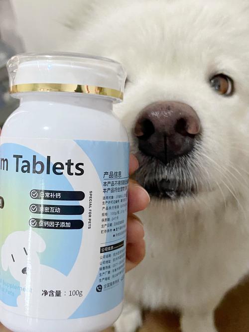 狗狗缺钙应该吃什么,狗狗缺钙吃啥比较好?-第1张图片-后鲨宠物 狗狗缺钙应该吃什么,狗狗缺钙吃啥比较好?-第1张图片-后鲨宠物