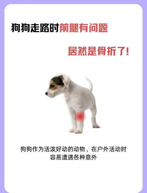 狗狗蹬腿是什么症状_狗狗蹬腿是什么意思