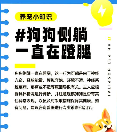 狗狗蹬腿是什么症状_狗狗蹬腿是什么意思-第2张图片-后鲨宠物 狗狗蹬腿是什么症状_狗狗蹬腿是什么意思-第2张图片-后鲨宠物