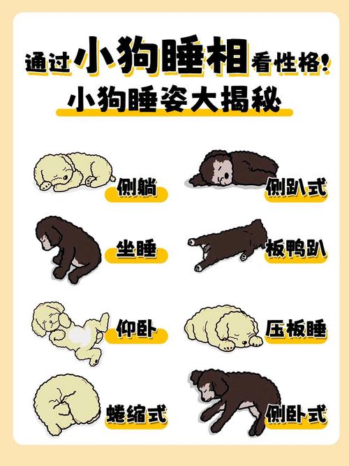 狗狗蹬腿是什么症状_狗狗蹬腿是什么意思-第5张图片-后鲨宠物 狗狗蹬腿是什么症状_狗狗蹬腿是什么意思-第5张图片-后鲨宠物