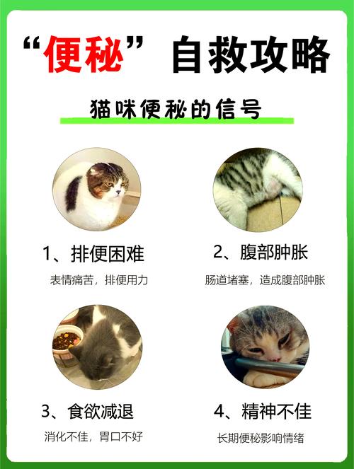 猫咪便秘了怎么办,猫咪便秘了怎么办屁股还出血了-第1张图片-后鲨宠物 猫咪便秘了怎么办,猫咪便秘了怎么办屁股还出血了-第1张图片-后鲨宠物
