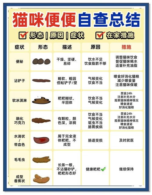 猫咪便秘了怎么办,猫咪便秘了怎么办屁股还出血了-第4张图片-后鲨宠物 猫咪便秘了怎么办,猫咪便秘了怎么办屁股还出血了-第4张图片-后鲨宠物