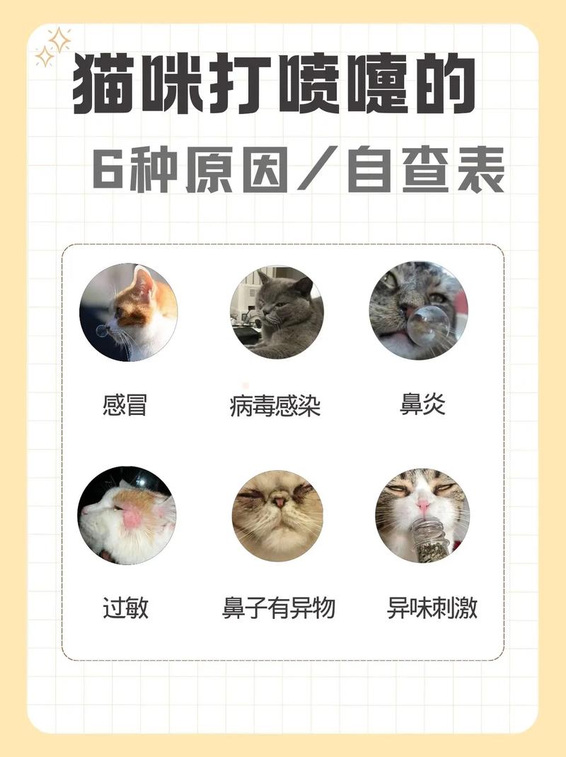 猫咪大小眼是怎么了,猫咪大小眼能恢复吗-第6张图片-后鲨宠物 猫咪大小眼是怎么了,猫咪大小眼能恢复吗-第6张图片-后鲨宠物