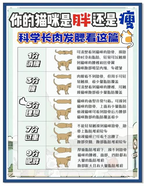 猫咪消瘦的原因分析,八种猫咪消瘦原因以及解决方法图?-第4张图片-后鲨宠物 猫咪消瘦的原因分析,八种猫咪消瘦原因以及解决方法图?-第4张图片-后鲨宠物