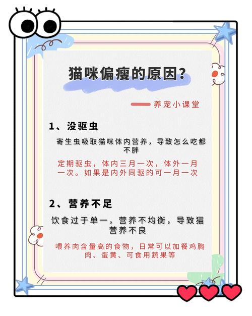 猫咪消瘦的原因分析,八种猫咪消瘦原因以及解决方法图?-第5张图片-后鲨宠物 猫咪消瘦的原因分析,八种猫咪消瘦原因以及解决方法图?-第5张图片-后鲨宠物
