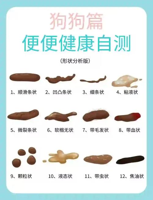 狗狗多久拉一次屎正常_狗狗多长时间拉一次屎-第4张图片-后鲨宠物 狗狗多久拉一次屎正常_狗狗多长时间拉一次屎-第4张图片-后鲨宠物