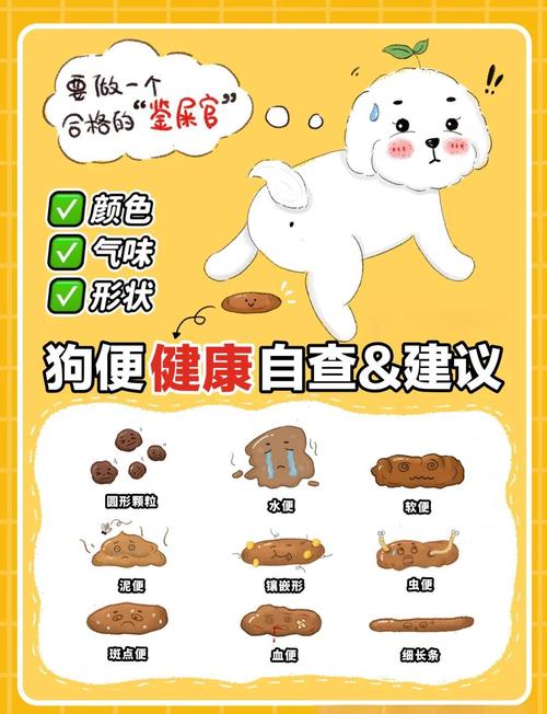 狗狗多久拉一次屎正常_狗狗多长时间拉一次屎-第6张图片-后鲨宠物 狗狗多久拉一次屎正常_狗狗多长时间拉一次屎-第6张图片-后鲨宠物