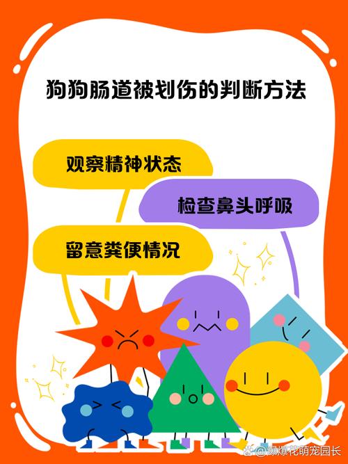 狗狗肠道划伤能自愈吗,狗狗吃骨头死亡前兆?-第3张图片-后鲨宠物 狗狗肠道划伤能自愈吗,狗狗吃骨头死亡前兆?-第3张图片-后鲨宠物