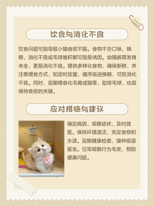 猫咪没奶水怎么回事,猫咪没奶水怎么回事啊?-第1张图片-后鲨宠物 猫咪没奶水怎么回事,猫咪没奶水怎么回事啊?-第1张图片-后鲨宠物