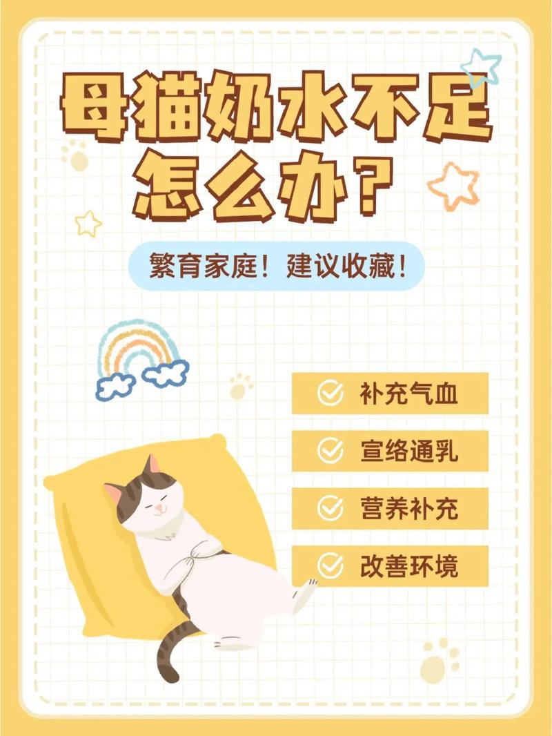 猫咪没奶水怎么回事,猫咪没奶水怎么回事啊?-第2张图片-后鲨宠物 猫咪没奶水怎么回事,猫咪没奶水怎么回事啊?-第2张图片-后鲨宠物