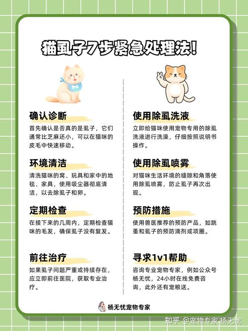  猫咪身上有虱子怎么办，猫身上有虱子会怎么样-第3张图片-后鲨宠物