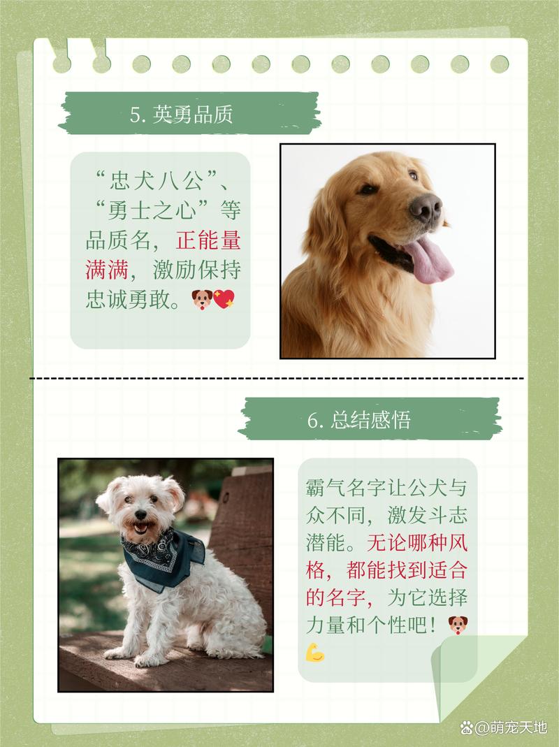 给狗狗起个霸气的名字，给狗狗起个霸气的名字吧？