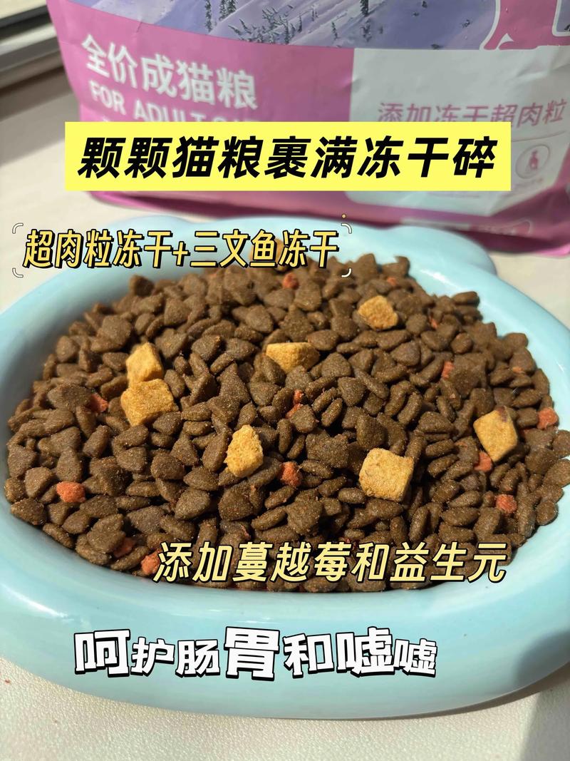 猫咪可以吃麦片吗_小猫咪可以吃麦片么-第3张图片-后鲨宠物 猫咪可以吃麦片吗_小猫咪可以吃麦片么-第3张图片-后鲨宠物