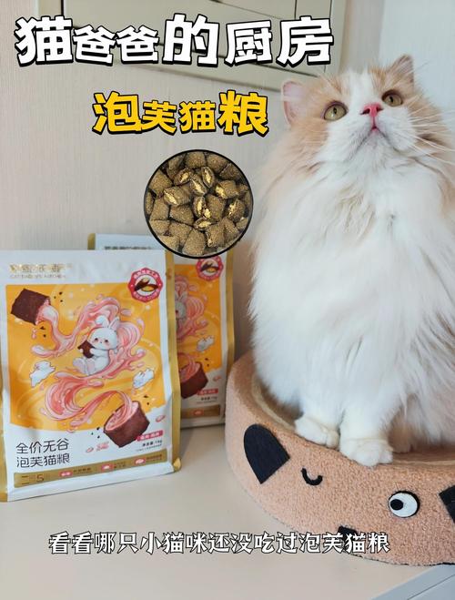 猫咪可以吃麦片吗_小猫咪可以吃麦片么-第5张图片-后鲨宠物 猫咪可以吃麦片吗_小猫咪可以吃麦片么-第5张图片-后鲨宠物