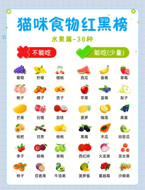 猫猫能吃苹果吗,猫咪能不能吃苹果??-第5张图片-后鲨宠物 猫猫能吃苹果吗,猫咪能不能吃苹果??-第5张图片-后鲨宠物