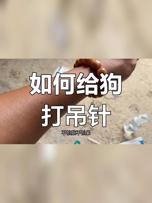 怎么给狗狗输液,怎样给狗狗输液?-第6张图片-后鲨宠物 怎么给狗狗输液,怎样给狗狗输液?-第6张图片-后鲨宠物