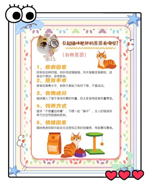 猫咪太胖怎么办_猫咪太胖会怎样-第2张图片-后鲨宠物 猫咪太胖怎么办_猫咪太胖会怎样-第2张图片-后鲨宠物