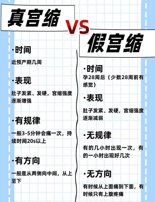 狗狗宫缩的表现,狗狗宫缩的表现症状?-第2张图片-后鲨宠物 狗狗宫缩的表现,狗狗宫缩的表现症状?-第2张图片-后鲨宠物