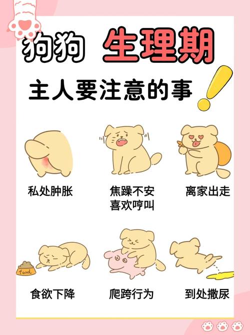 狗狗容易怀孕吗_狗狗容易怀孕吗-第4张图片-后鲨宠物 狗狗容易怀孕吗_狗狗容易怀孕吗-第4张图片-后鲨宠物