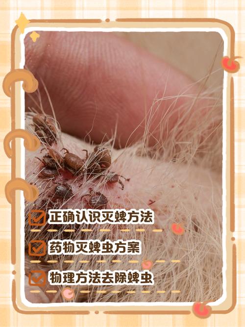 狗狗身上蜱虫怎么消灭，狗狗身上蜱虫怎么消灭干净？