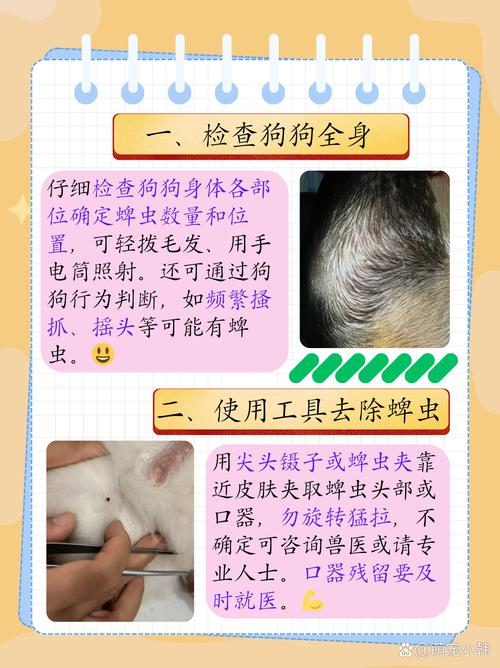 狗狗身上蜱虫怎么消灭,狗狗身上蜱虫怎么消灭干净?-第3张图片-后鲨宠物 狗狗身上蜱虫怎么消灭,狗狗身上蜱虫怎么消灭干净?-第3张图片-后鲨宠物