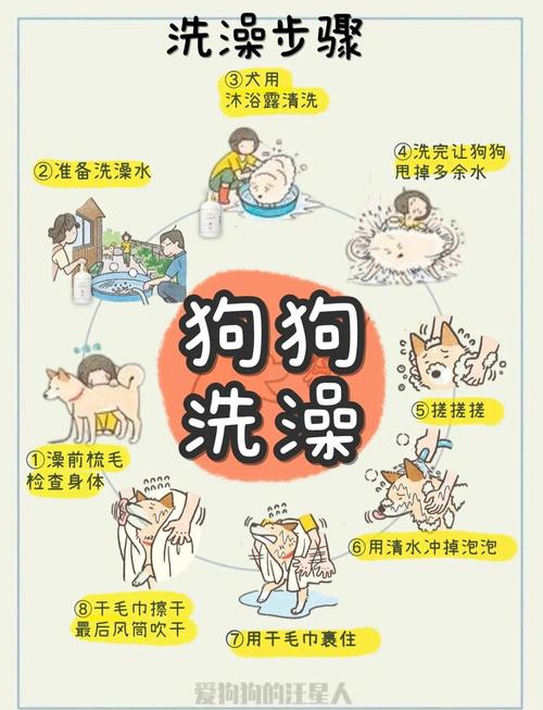 狗狗可以用冷水洗澡吗_狗子可以用凉水洗澡不-第6张图片-后鲨宠物 狗狗可以用冷水洗澡吗_狗子可以用凉水洗澡不-第6张图片-后鲨宠物