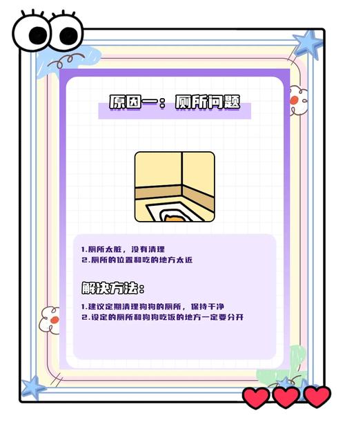 如何防止狗狗乱尿,如何防止狗到处拉尿?-第2张图片-后鲨宠物 如何防止狗狗乱尿,如何防止狗到处拉尿?-第2张图片-后鲨宠物