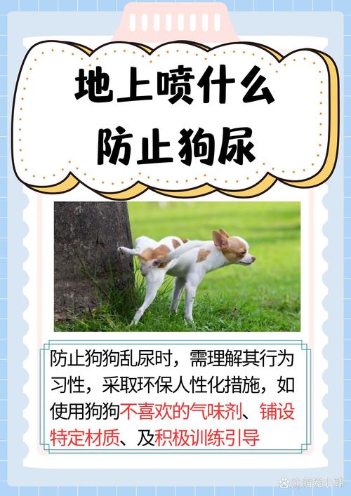 如何防止狗狗乱尿,如何防止狗到处拉尿?-第3张图片-后鲨宠物 如何防止狗狗乱尿,如何防止狗到处拉尿?-第3张图片-后鲨宠物