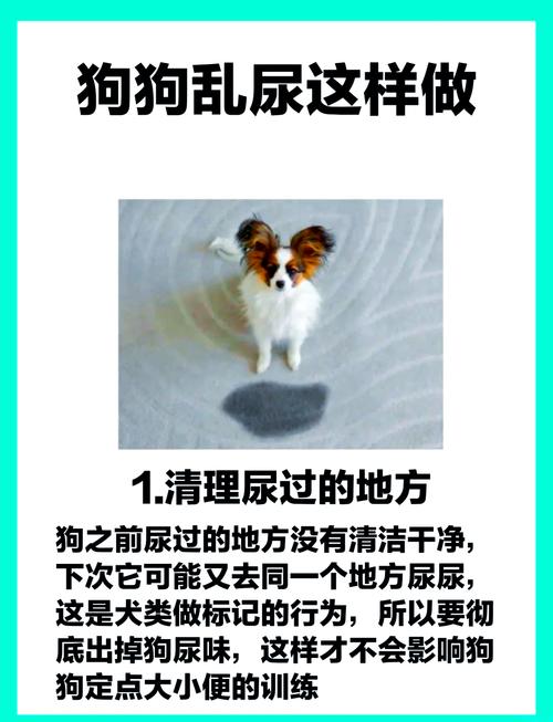 如何防止狗狗乱尿,如何防止狗到处拉尿?-第5张图片-后鲨宠物 如何防止狗狗乱尿,如何防止狗到处拉尿?-第5张图片-后鲨宠物