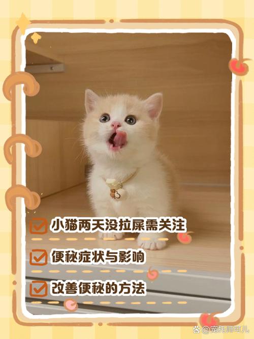  猫咪几天没拉屎怎么办，猫咪几天不拉屎正常吗-第6张图片-后鲨宠物