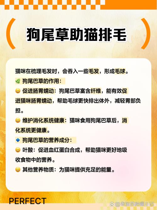 狗狗可以吃猫草吗,狗狗可以吃猫草吗有毒吗-第2张图片-后鲨宠物 狗狗可以吃猫草吗,狗狗可以吃猫草吗有毒吗-第2张图片-后鲨宠物