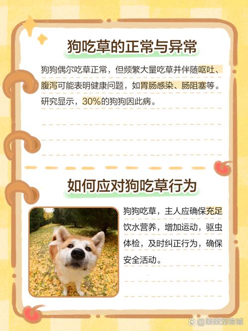狗狗可以吃猫草吗,狗狗可以吃猫草吗有毒吗-第5张图片-后鲨宠物 狗狗可以吃猫草吗,狗狗可以吃猫草吗有毒吗-第5张图片-后鲨宠物
