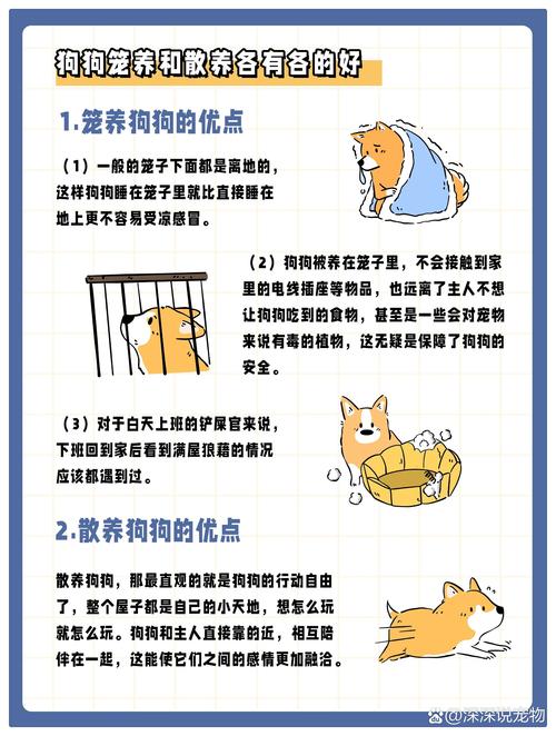 把狗狗关在笼子里好吗,把狗关在狗笼里有什么害处-第5张图片-后鲨宠物 把狗狗关在笼子里好吗,把狗关在狗笼里有什么害处-第5张图片-后鲨宠物