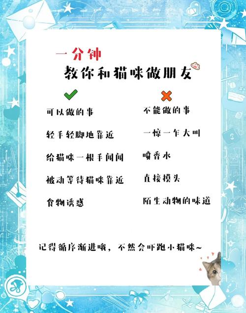 向猫咪表示友好的方式_怎样向猫咪示爱-第2张图片-后鲨宠物