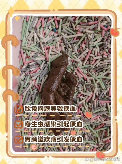 猫咪大便有血怎么回事,猫咪大便带血吃什么药?-第1张图片-后鲨宠物 猫咪大便有血怎么回事,猫咪大便带血吃什么药?-第1张图片-后鲨宠物