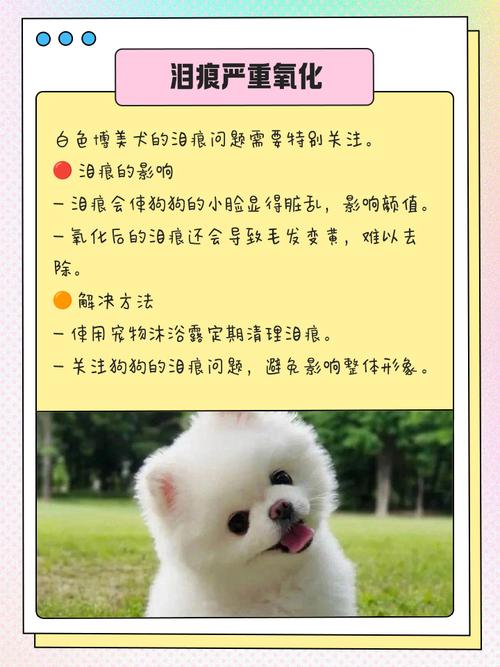 狗狗的毛为什么变黄了,狗狗的毛为什么会褪色?-第5张图片-后鲨宠物 狗狗的毛为什么变黄了,狗狗的毛为什么会褪色?-第5张图片-后鲨宠物