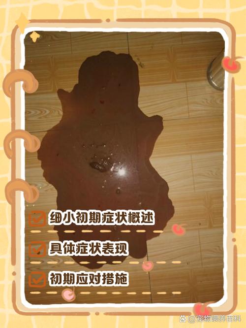 狗狗感染细小的症状,细小一般第几天死亡?-第6张图片-后鲨宠物 狗狗感染细小的症状,细小一般第几天死亡?-第6张图片-后鲨宠物