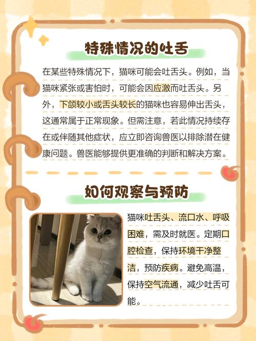 猫咪为什么会吐舌头,猫咪为什么会吐舌头出来-第1张图片-后鲨宠物 猫咪为什么会吐舌头,猫咪为什么会吐舌头出来-第1张图片-后鲨宠物