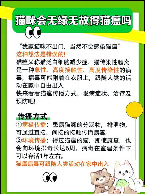 猫咪为什么会得猫瘟,小猫为什么会得猫瘟-第3张图片-后鲨宠物 猫咪为什么会得猫瘟,小猫为什么会得猫瘟-第3张图片-后鲨宠物