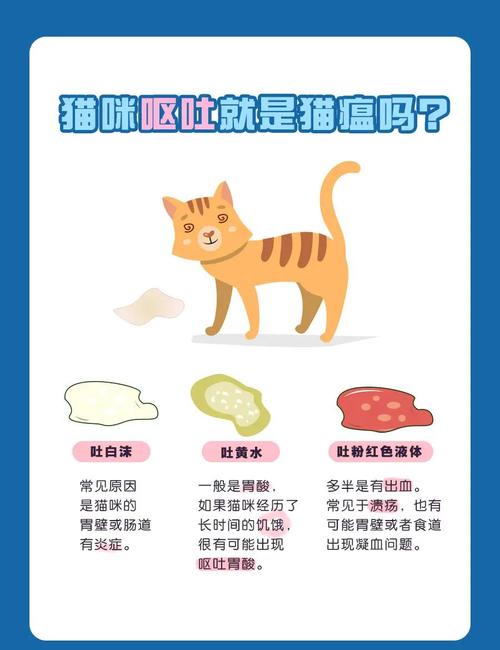 猫咪为什么会得猫瘟,小猫为什么会得猫瘟-第5张图片-后鲨宠物 猫咪为什么会得猫瘟,小猫为什么会得猫瘟-第5张图片-后鲨宠物