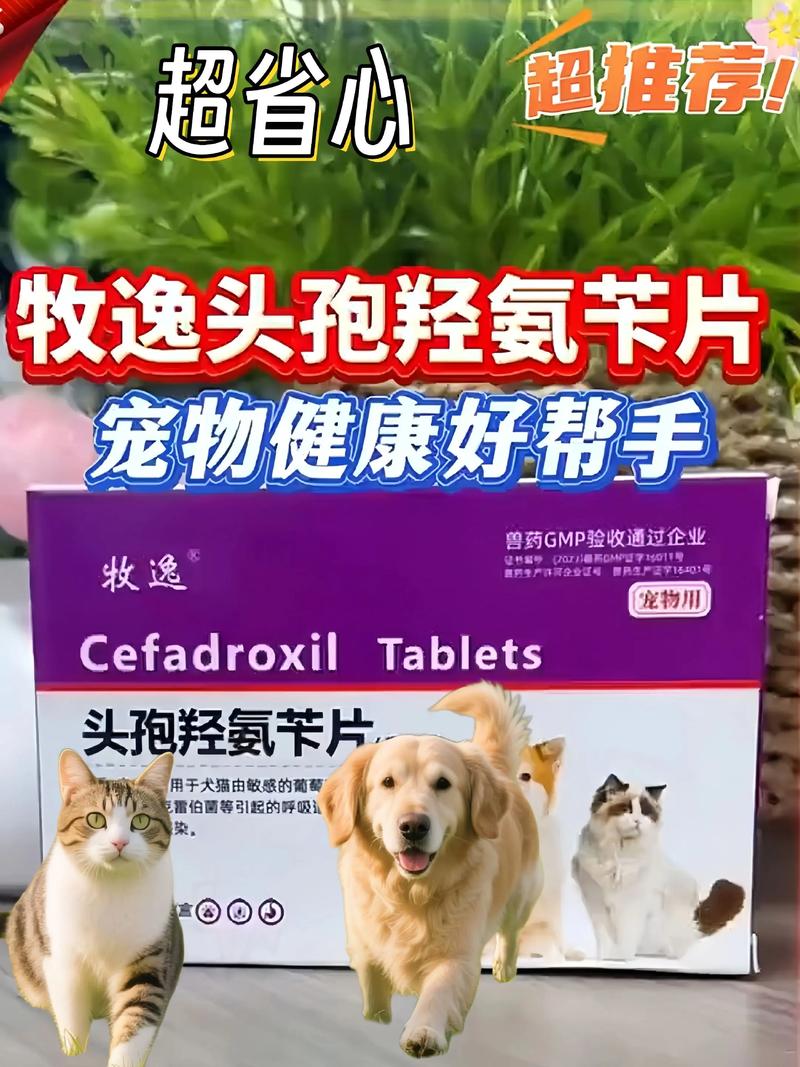 狗狗发烧怎么办_十几岁的狗狗发烧怎么办-第2张图片-后鲨宠物 狗狗发烧怎么办_十几岁的狗狗发烧怎么办-第2张图片-后鲨宠物