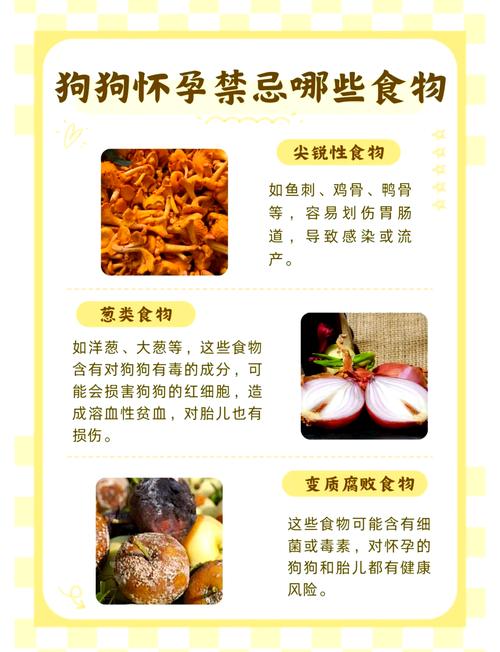 怀孕狗狗不能吃什么,怀孕的狗狗不可以吃什么?-第5张图片-后鲨宠物 怀孕狗狗不能吃什么,怀孕的狗狗不可以吃什么?-第5张图片-后鲨宠物